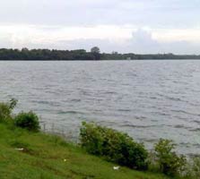 nagpur.jpg