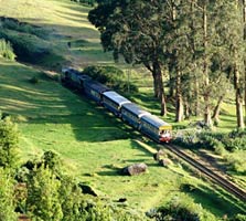 ooty.jpg
