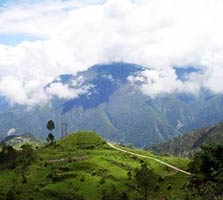 ranikhet.jpg